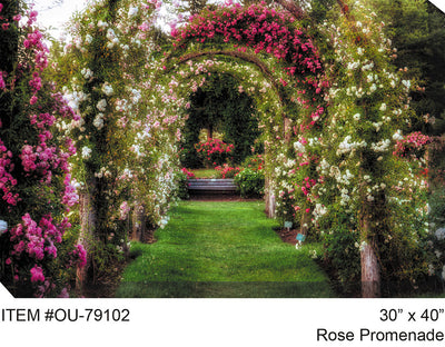 Rose Promenade