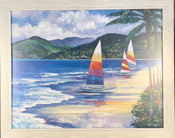 Sailboats in the Water Framed Print