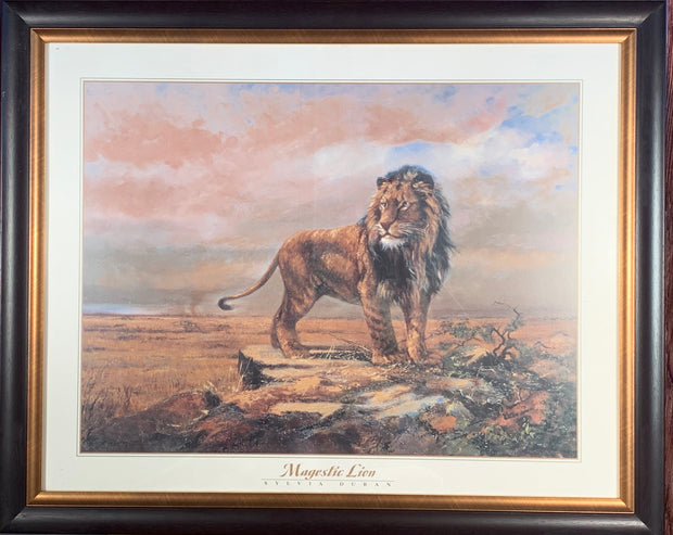 Magestic Lion Framed Print