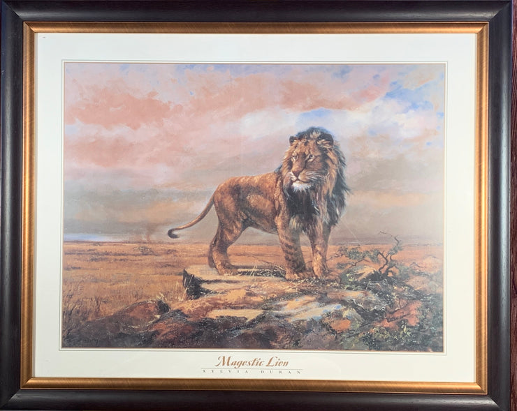Magestic Lion Framed Print